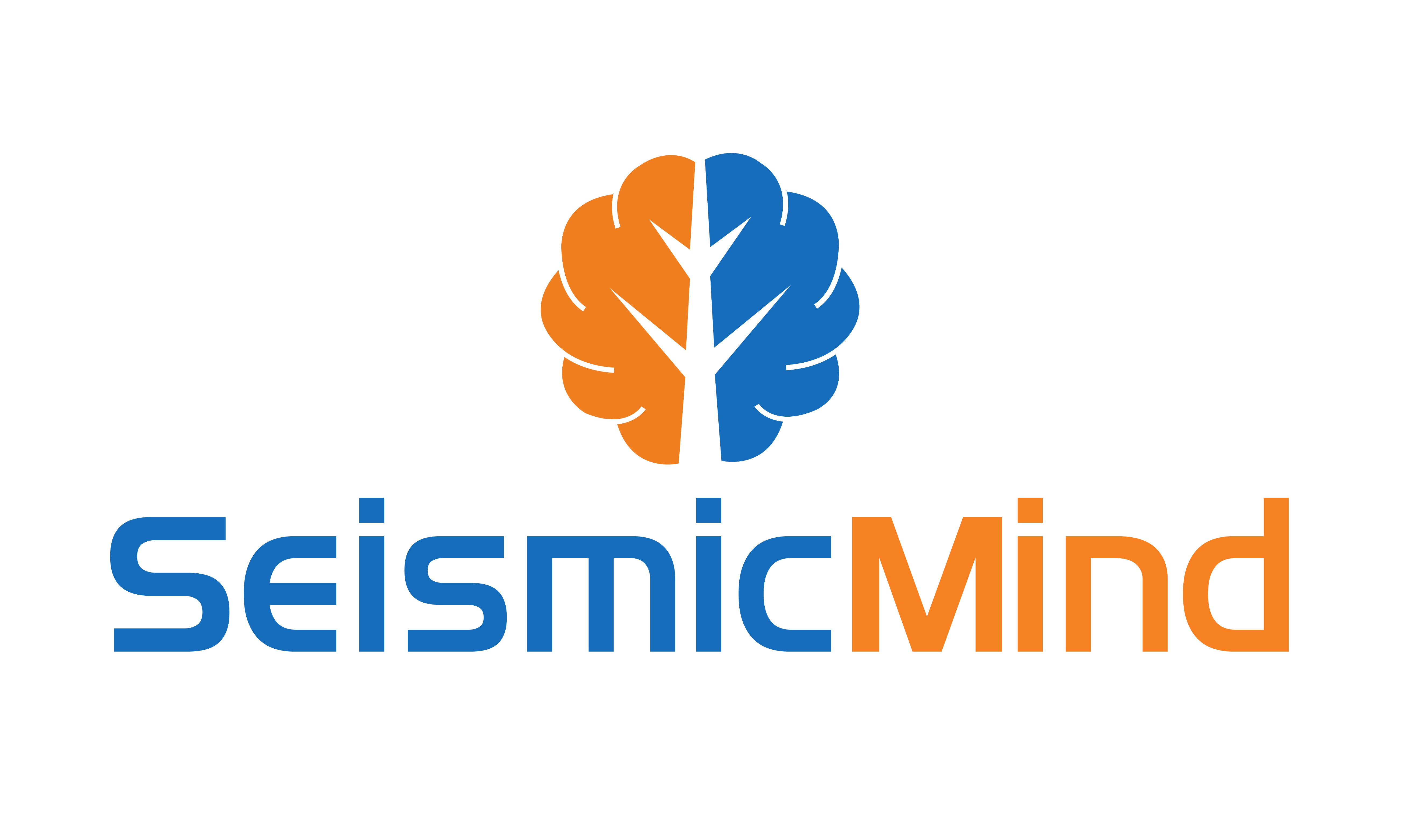 SeismicMind logo